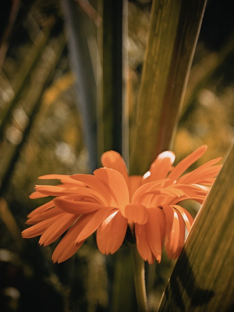 Photograph by Александр