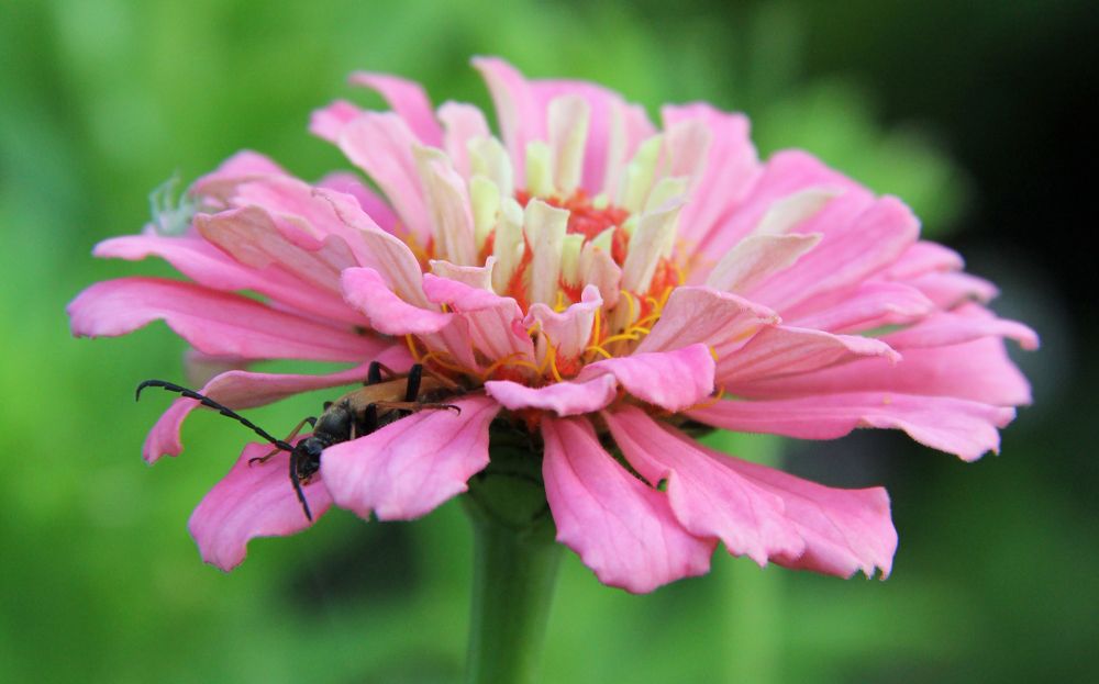 Photograph by Анастасия Северюхина