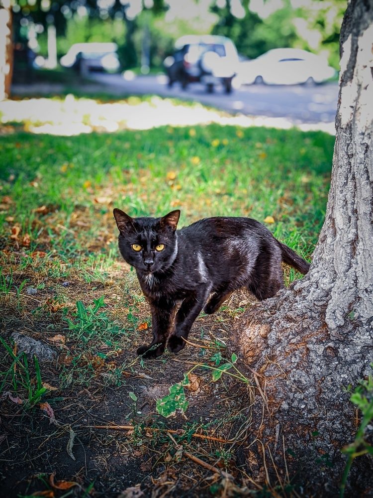 Photograph by Олега Тор