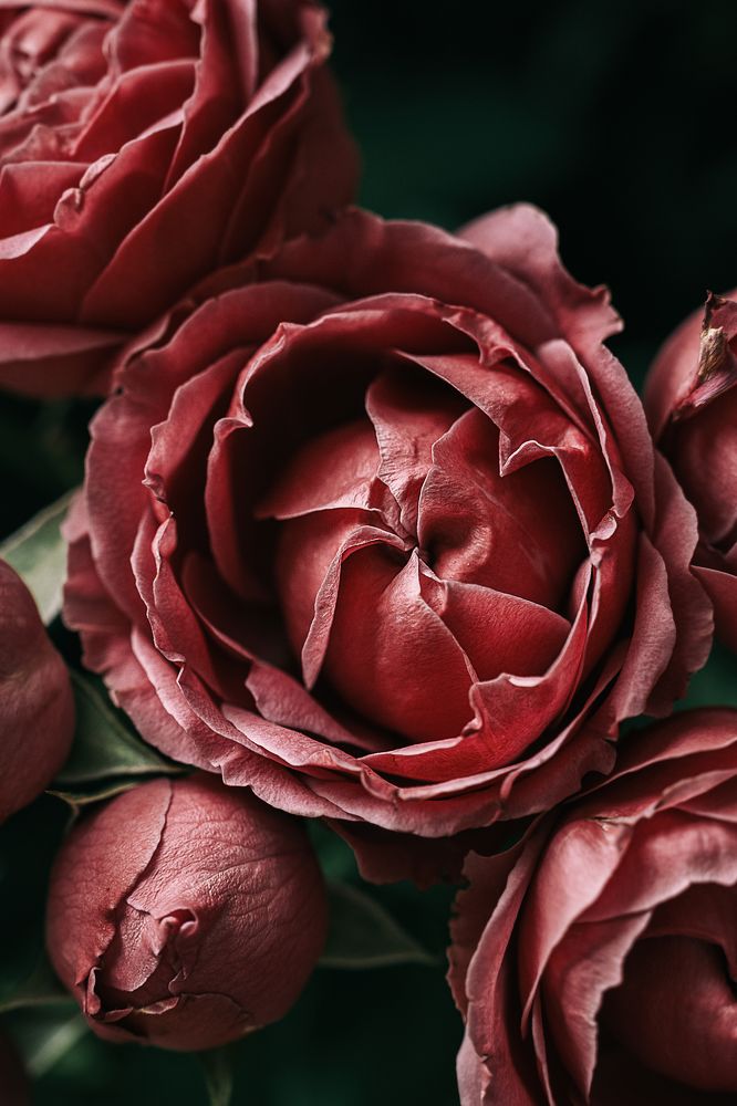 Photograph by Остапенко Алина