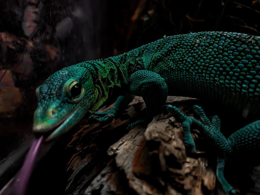 Photograph by Ivan Goshtanar