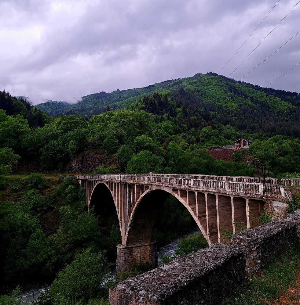 Photograph by Ольга Пумочка-13