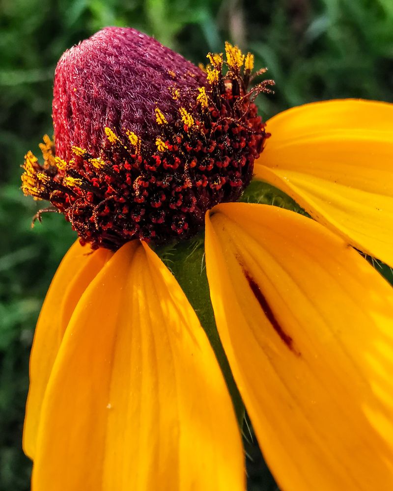 Photograph by Irina Tischer