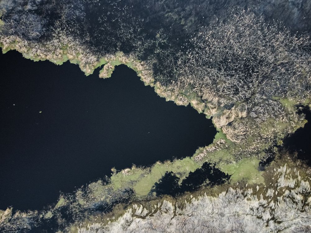 Photograph by Илья Воякин