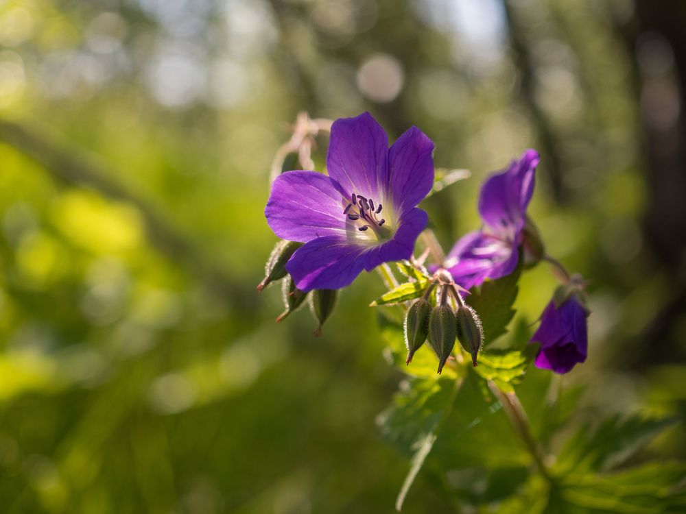 Photograph by Шейко Анна