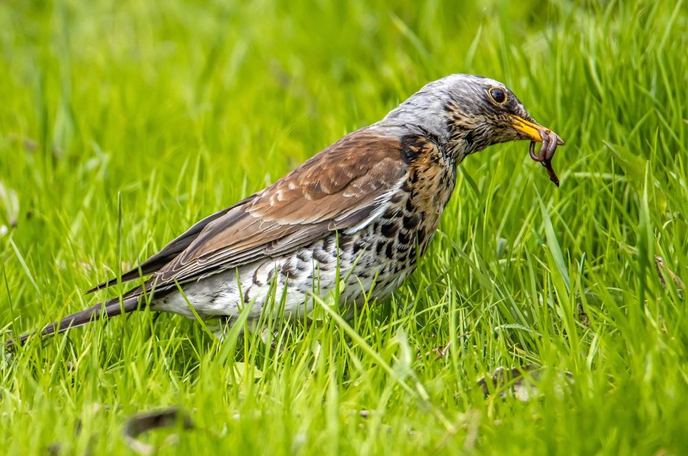 Photograph by Волынский Виктор