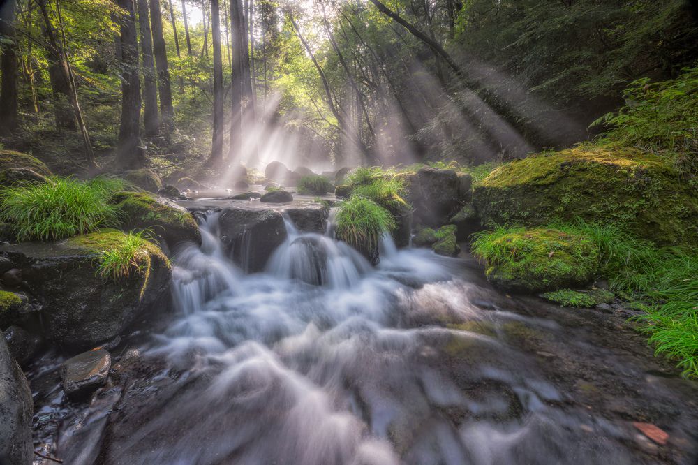 Photograph by Hirotomo Hakahara