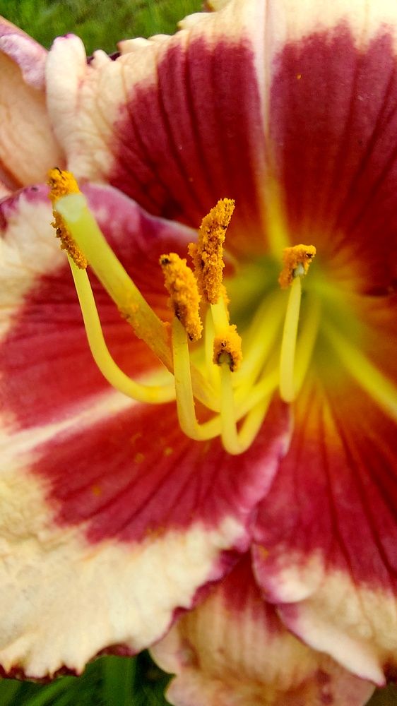 Фотография автора Виталий Петров