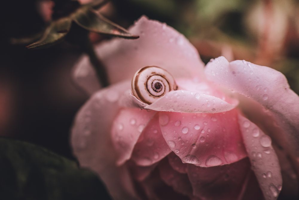 Photograph by Юлианна Митрофанова