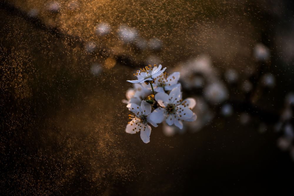 Photograph by Юлианна Митрофанова