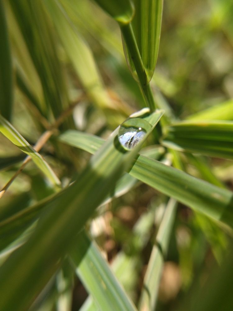 Photograph by Анна Степанова
