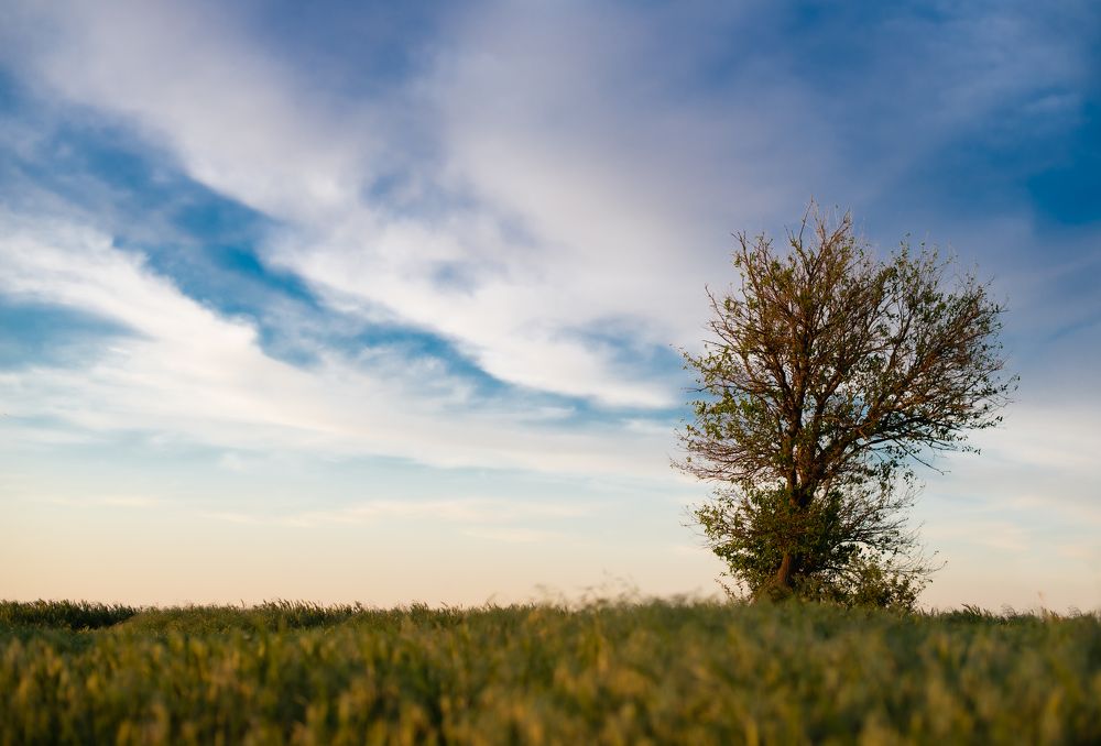 Photograph by Галина Еровенко