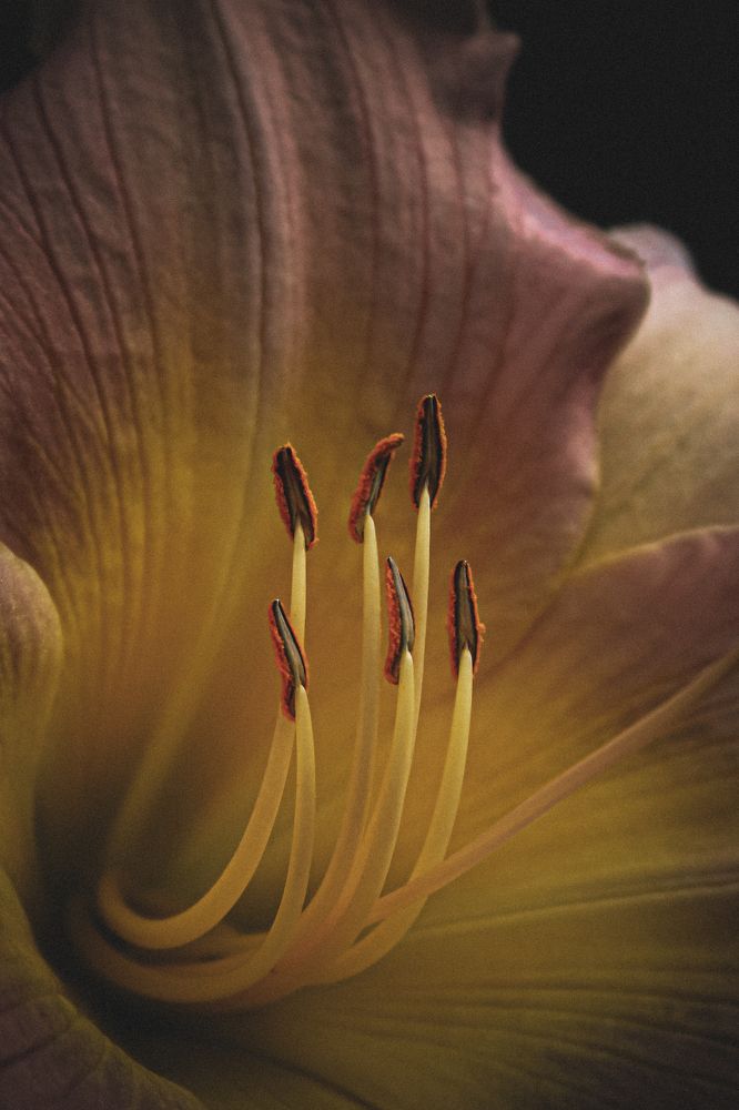 Фотография автора Юрий Серов