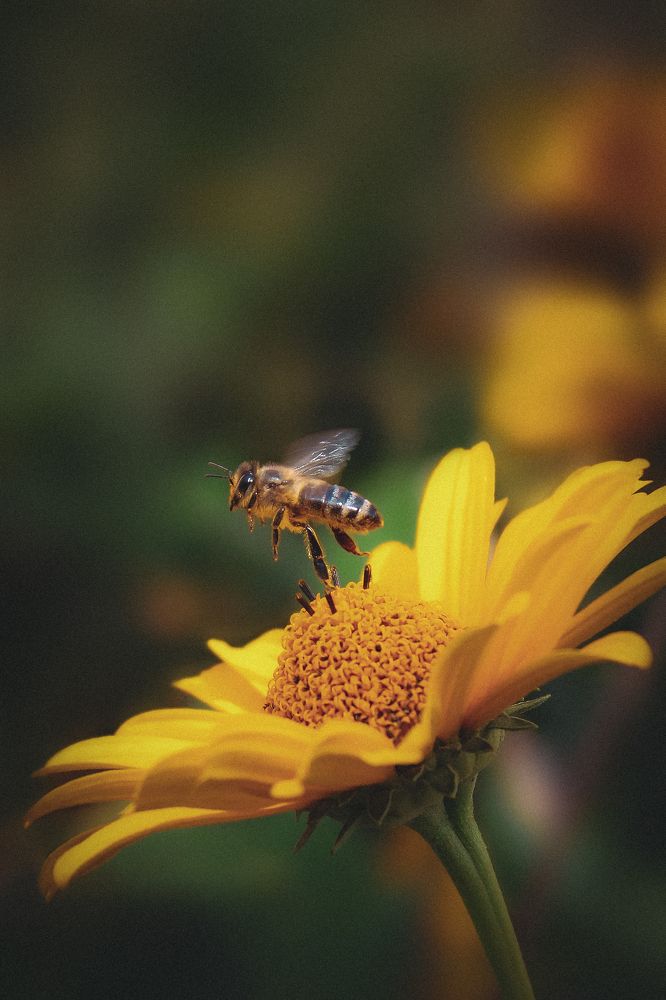 Фотография автора Юрий Серов