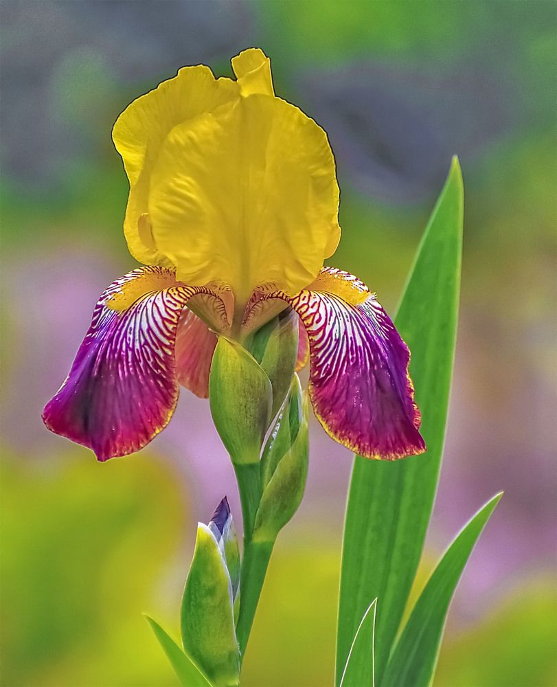 Photograph by Пушкин Сергей