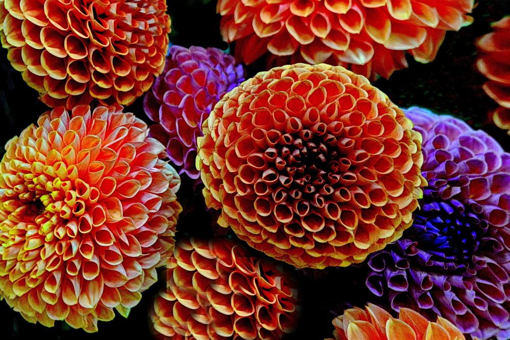 Photograph by Вадим Гераскин