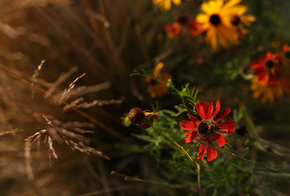 Photograph by Mary Ryzhenkova