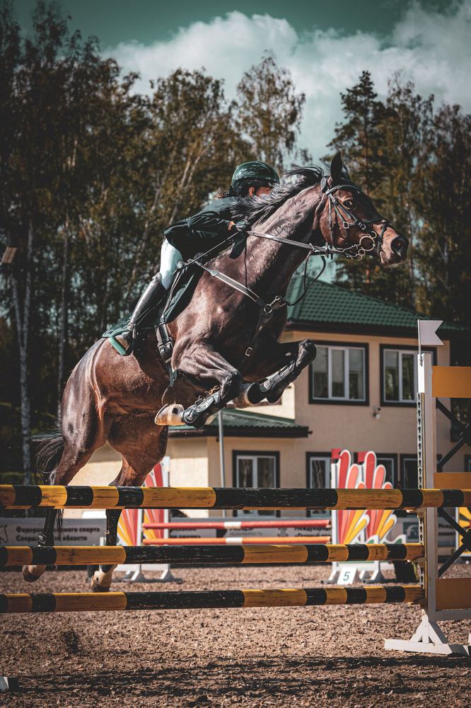 Фотография #10993423