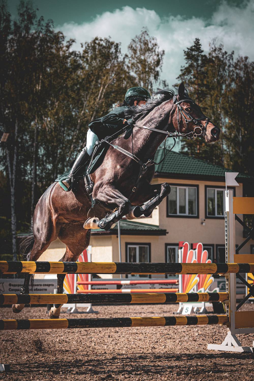 Фотография #10993423