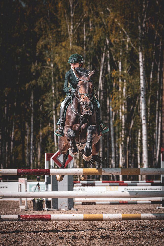 Photograph by Щепанов Дмитрий