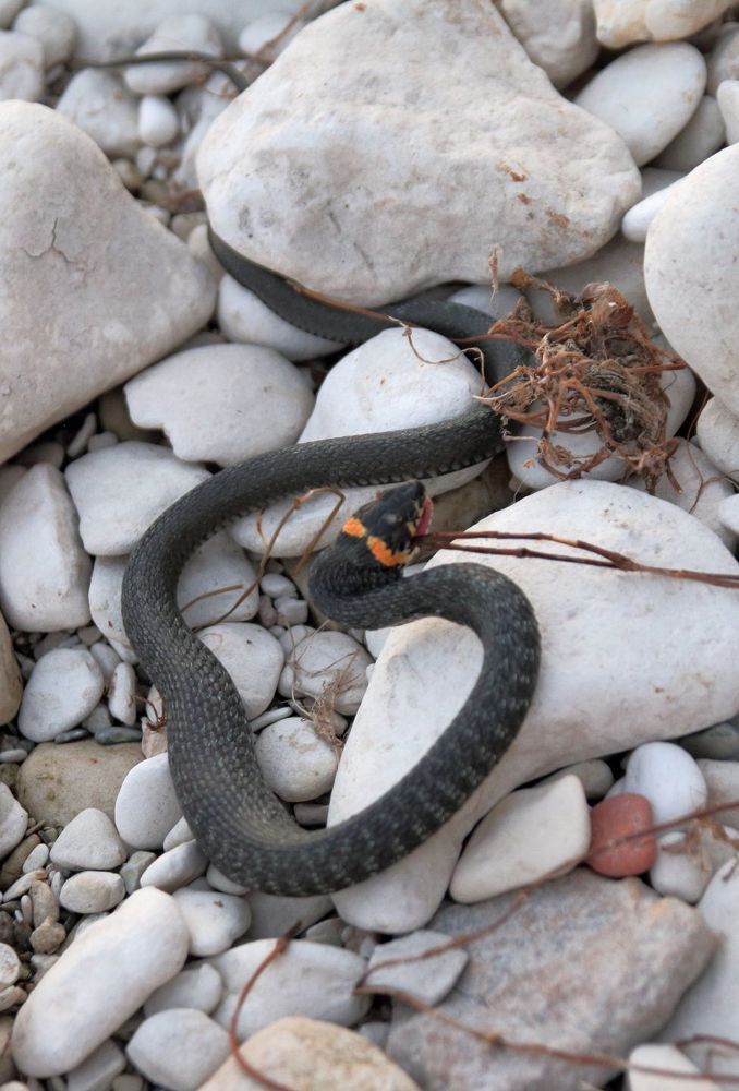 Photograph by Юрий Варюхин