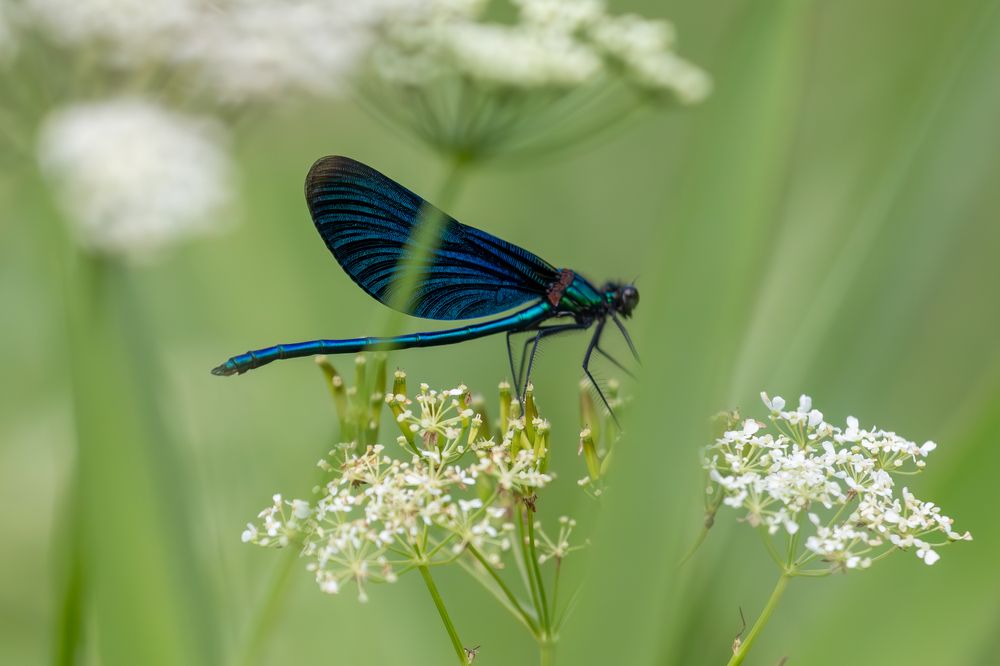 Photograph by Юлия Яковлева