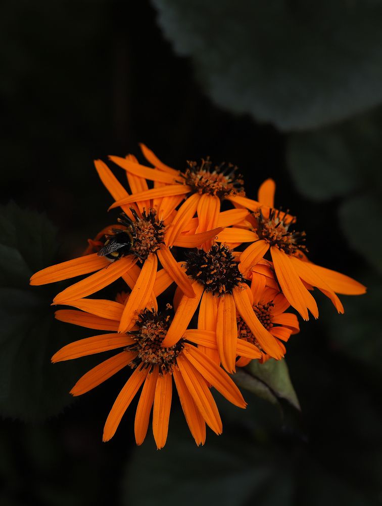 Photograph by Mary Ryzhenkova