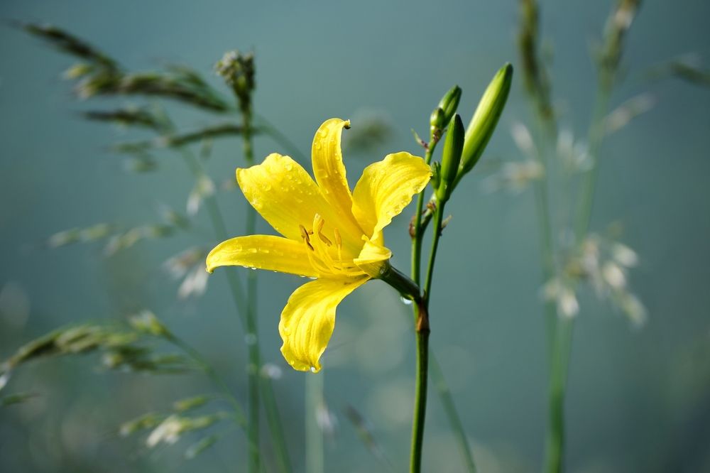 Photograph by Багурский Алексей