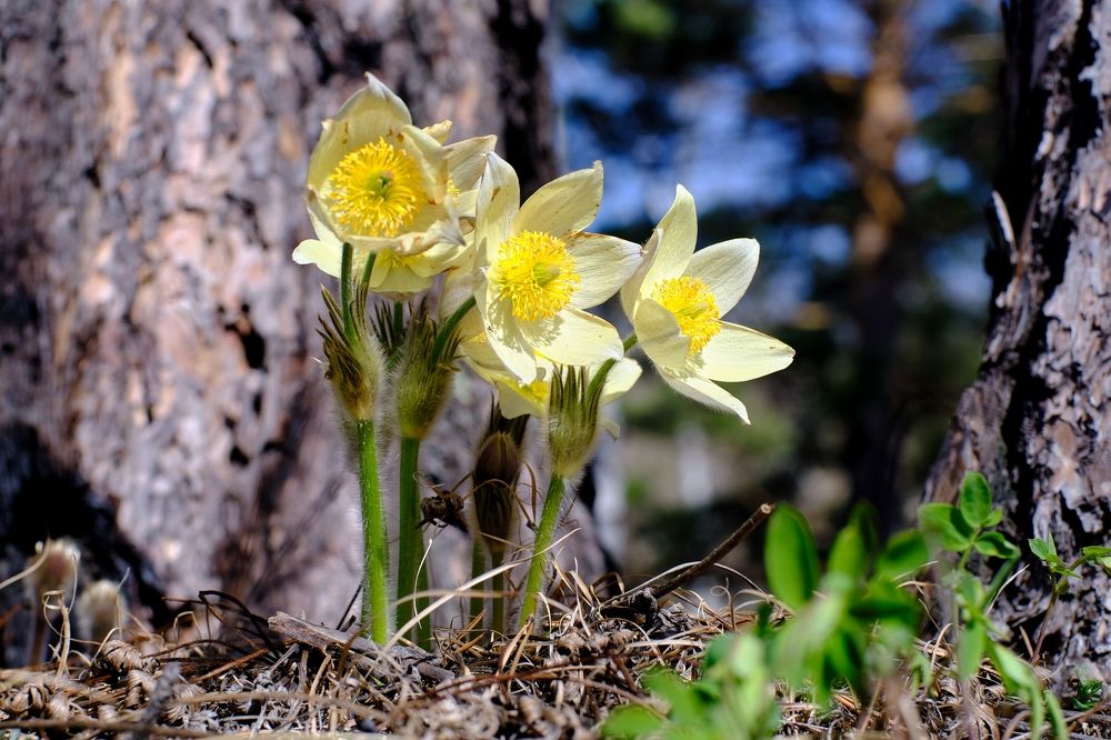 Photograph by Багурский Алексей