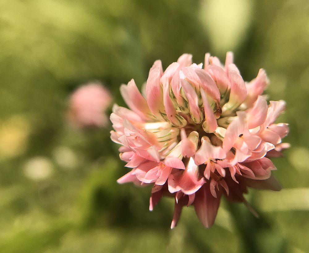 Photograph by Mary Ryzhenkova