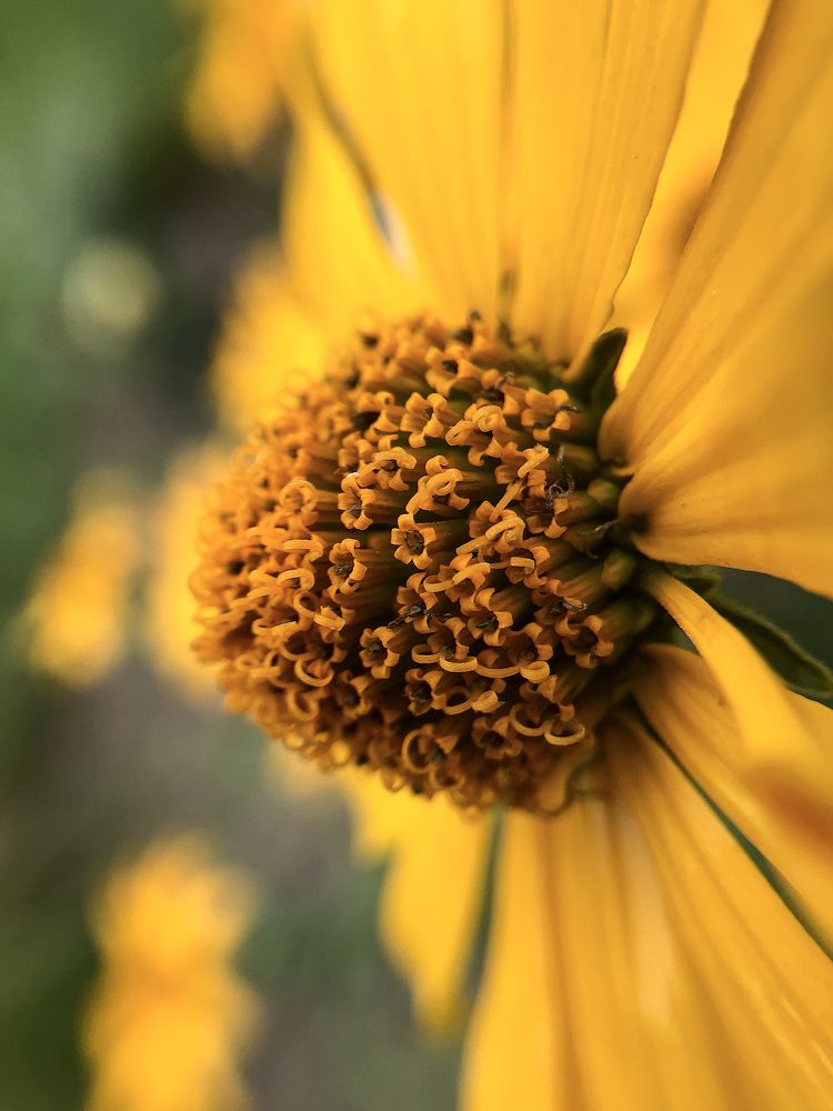 Photograph by Mary Ryzhenkova