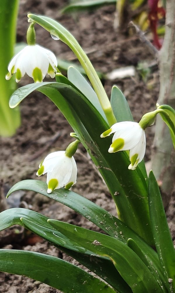 Photograph by Grădinaru Catalin
