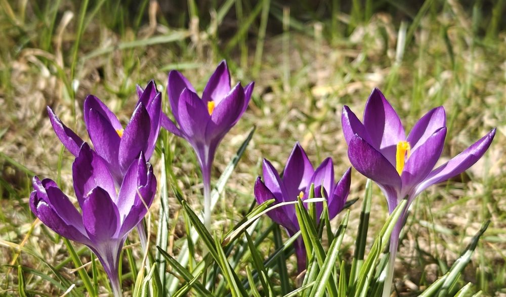 Photograph by Grădinaru Catalin