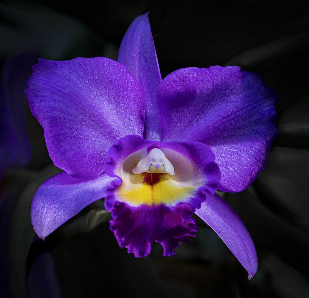 Фотография автора Черновол Валентин