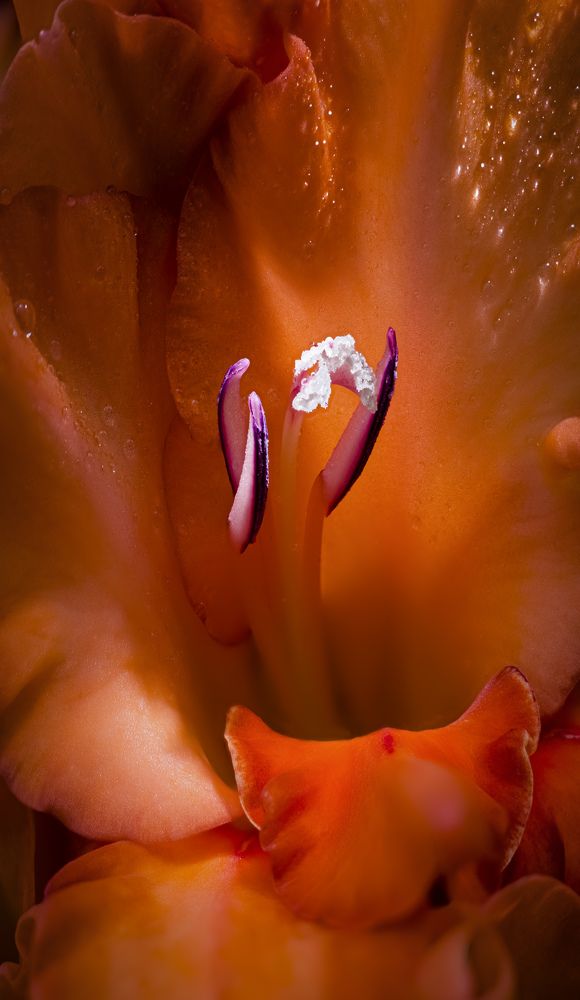 Фотография автора Черновол Валентин