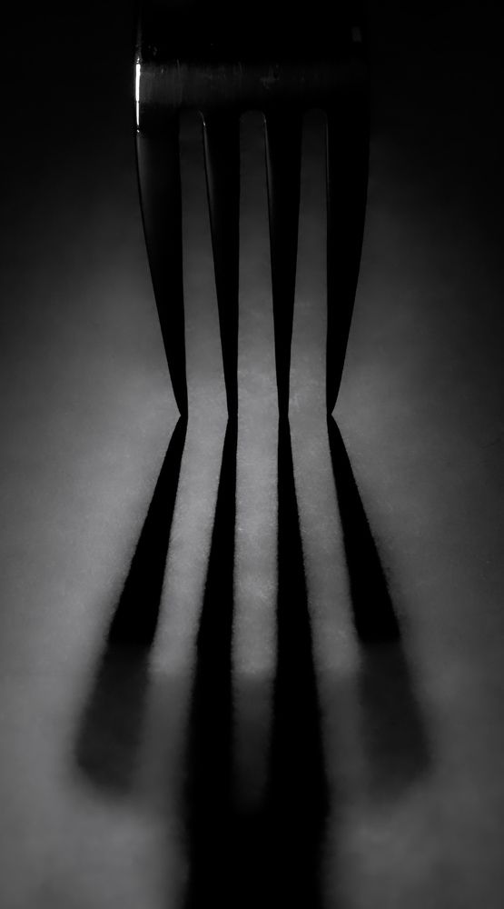 Photograph by Grădinaru Catalin