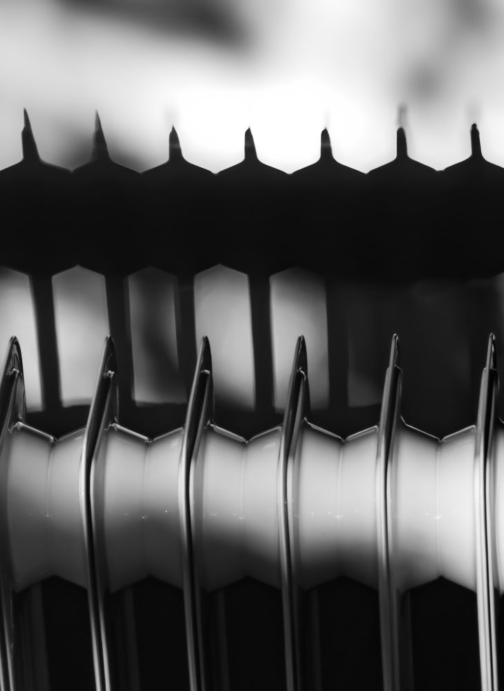 Photograph by Grădinaru Catalin