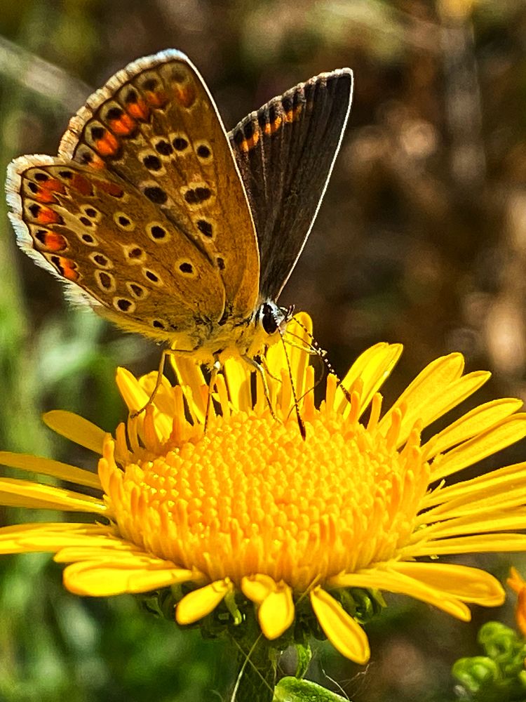 Фотография автора Екатерина Круглик