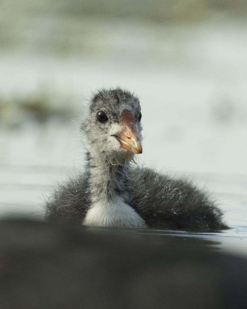 Фотография автора Сергей Затямин