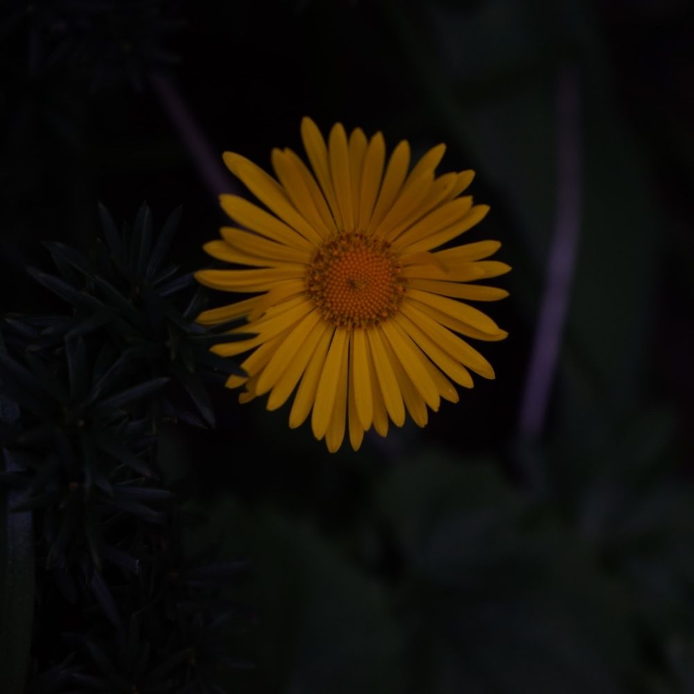 Photograph by Swetlana Brumm