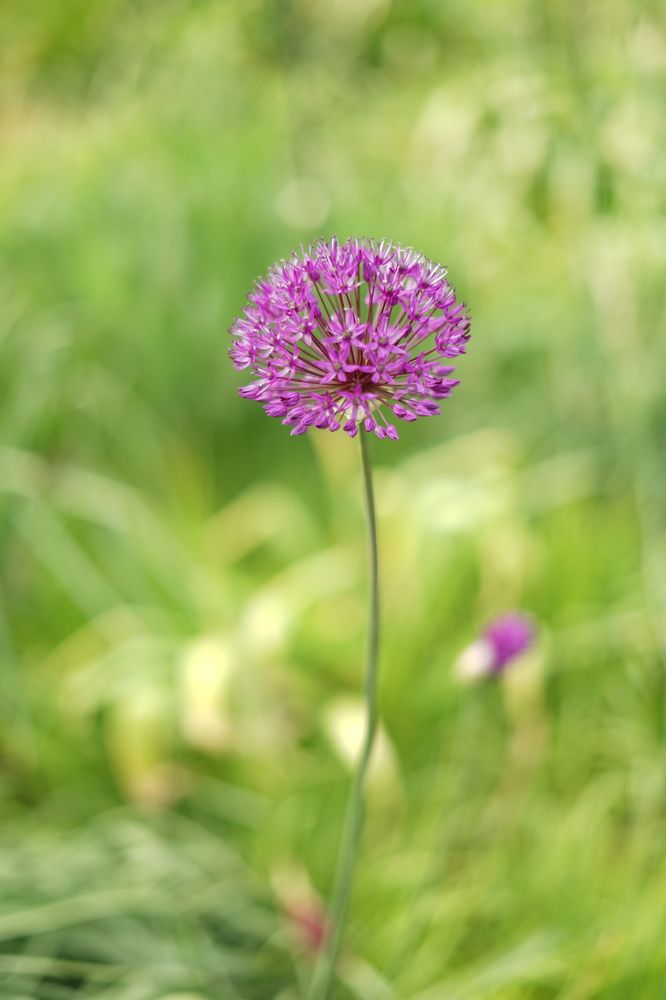 Photograph by Swetlana Brumm