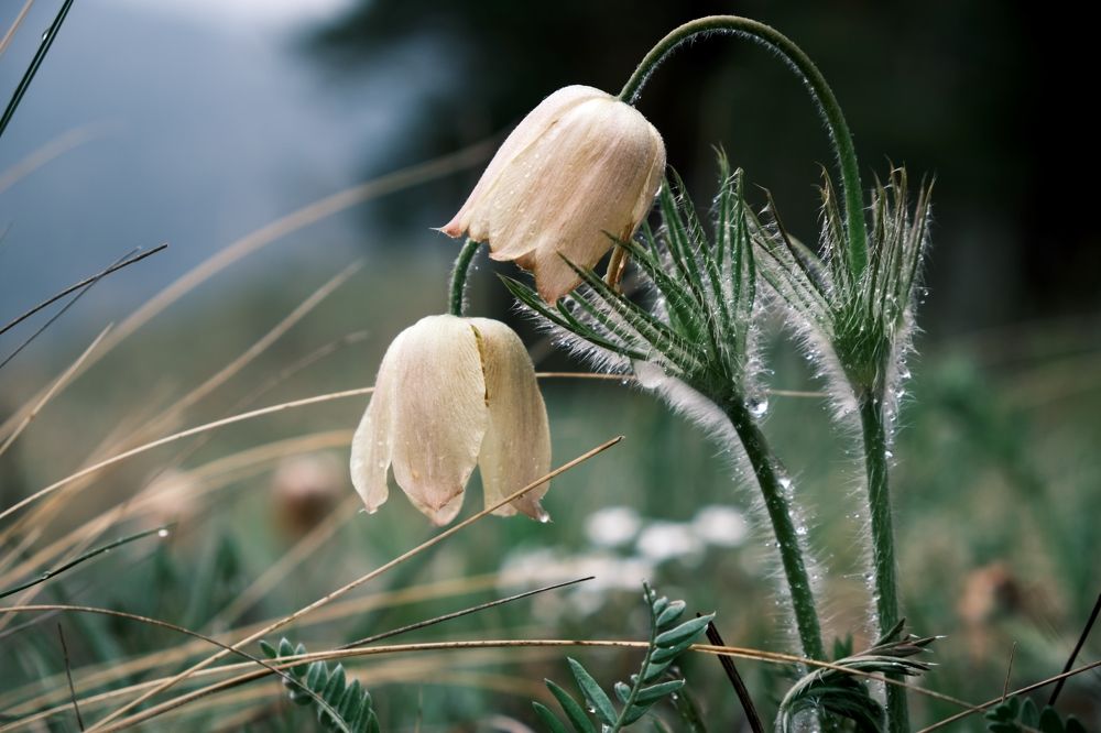 Photograph by Багурский Алексей