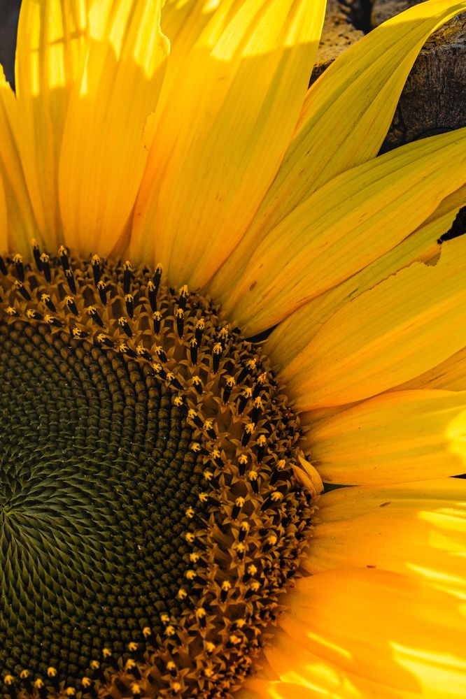 Photograph by Sandra Alvarez