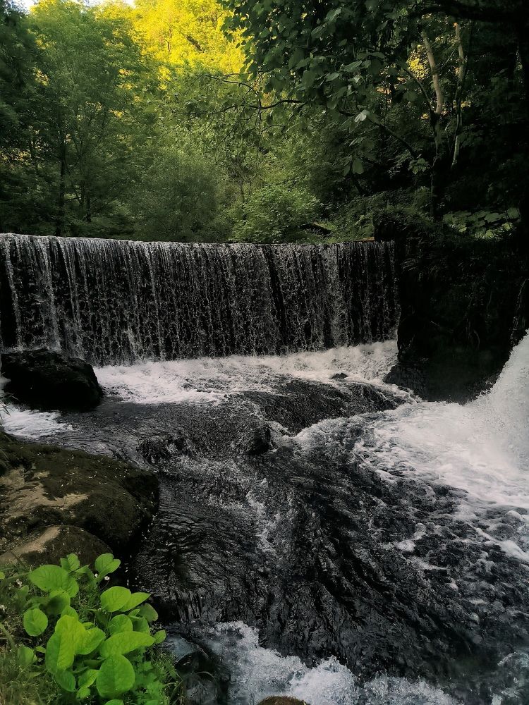 Photograph by Svetlana Gubanova