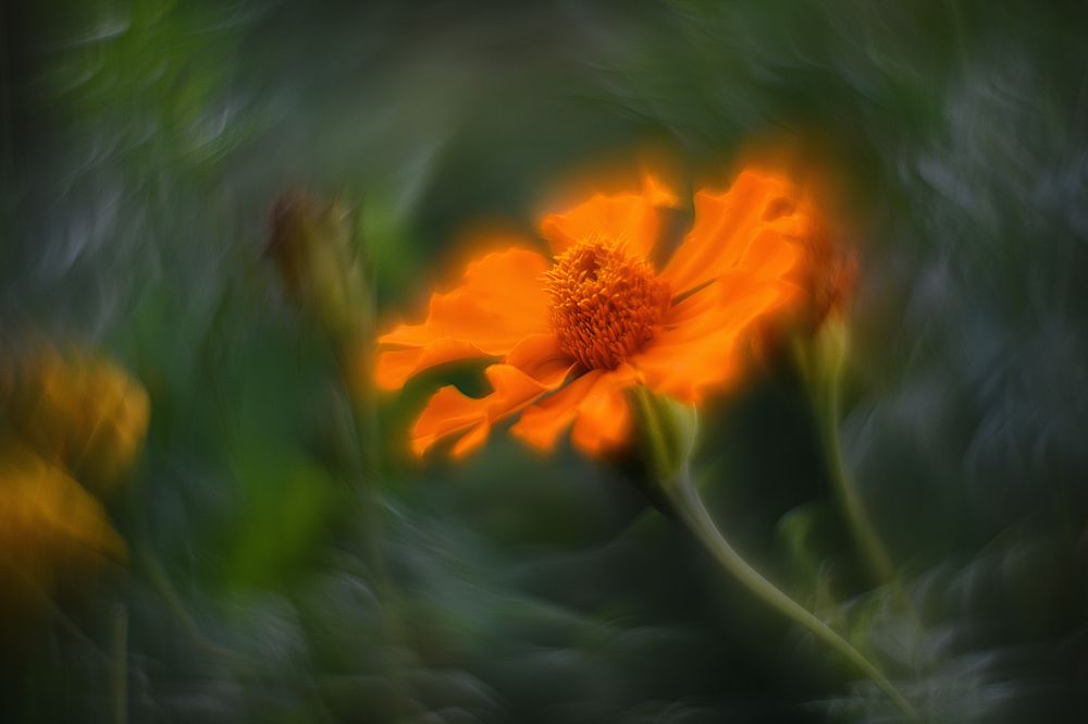 Photograph by Нуждин Андрей