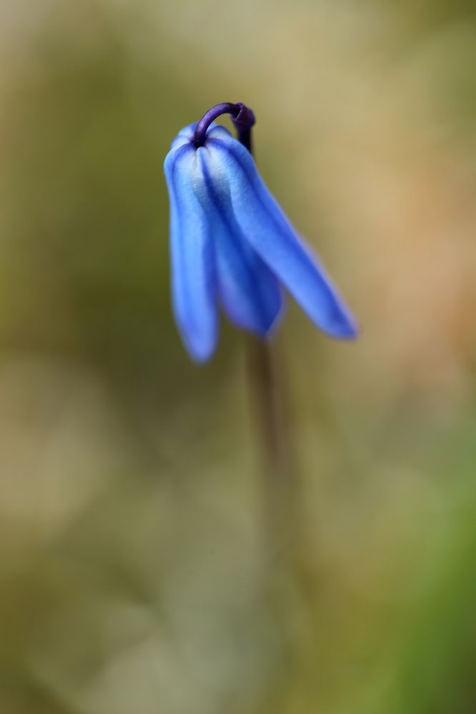 Photograph by Унку Юрий