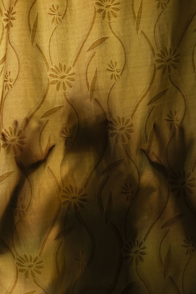 The silent screams I