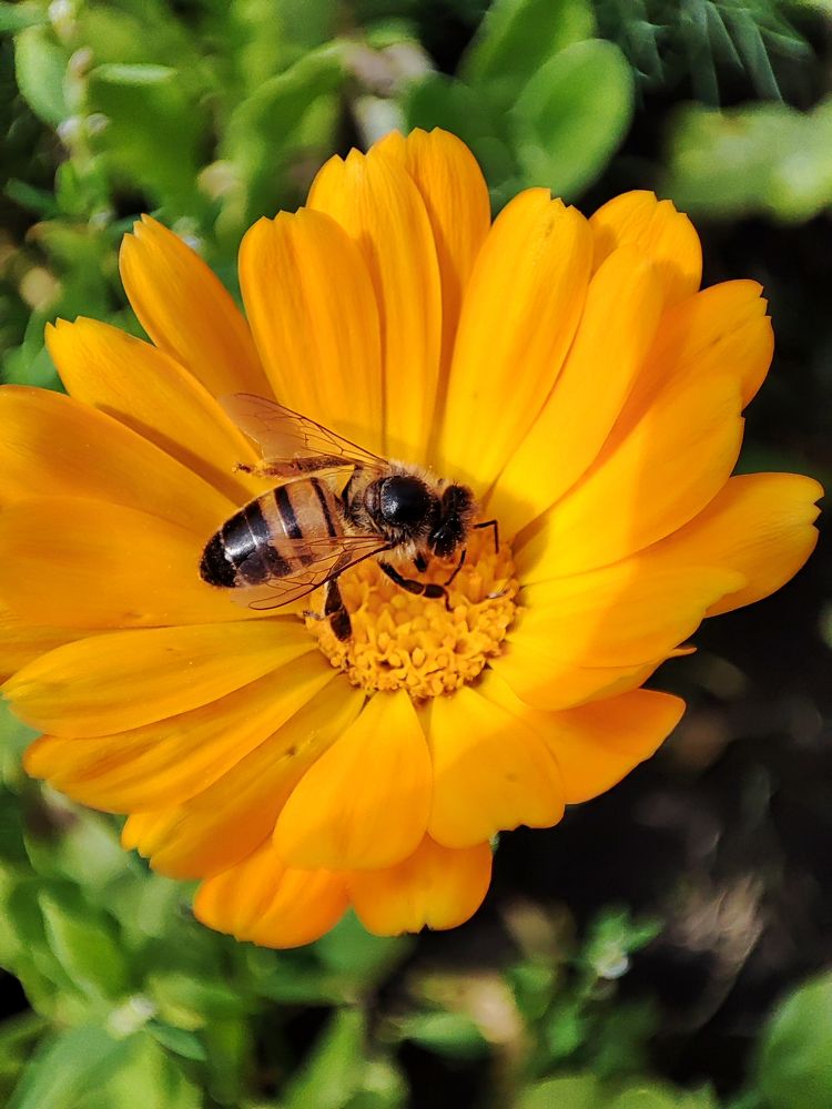 Photograph by Ильдар Балеев