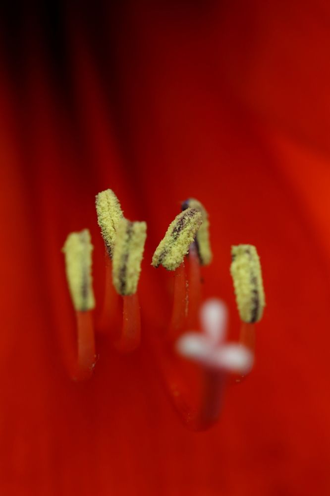 Photograph by Унку Юрий