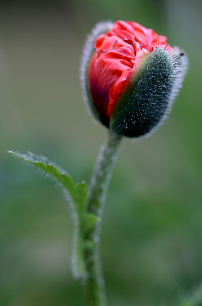 Photograph by Унку Юрий